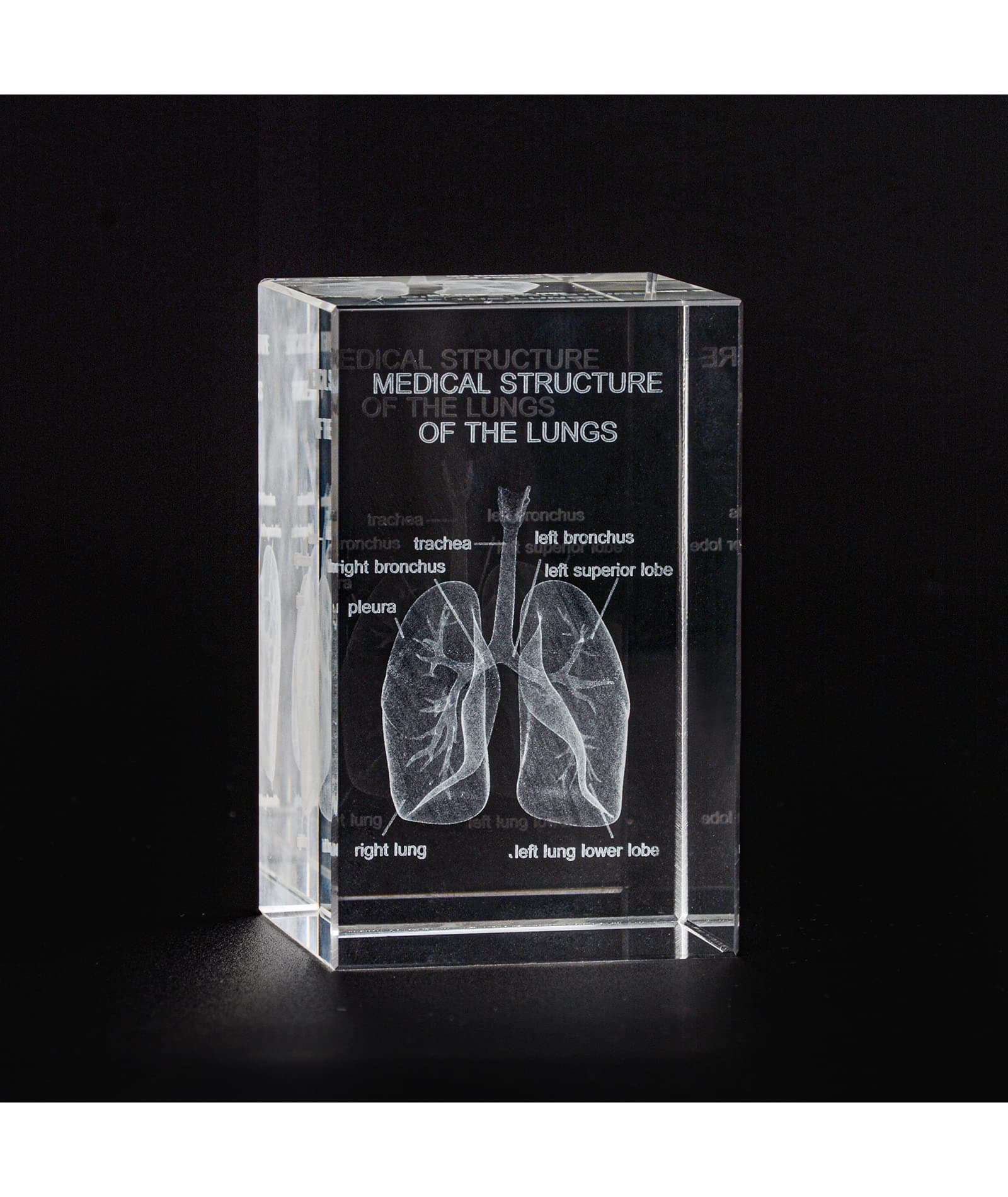 Ultrassist 3D Human Lung Crystal Model, Laser Etched Anatomical Model for Home and Office Decoration, Pulmonologists Gifts