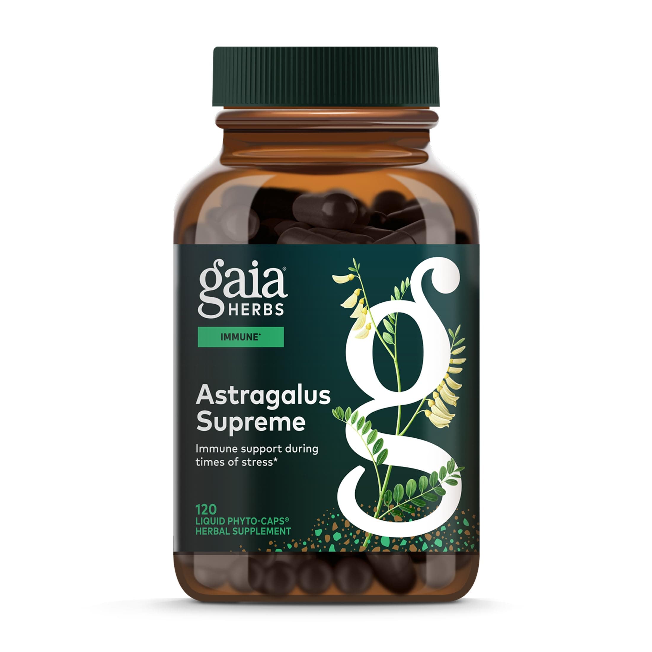 Gaia Herbs Astragalus Supreme - Immune and Antioxidant Support Herbal Supplement - with Astragalus Root, Schisandra Berry, and Ligustrum - 120 Vegan Liquid Phyto-Capsules (30-Day Supply)