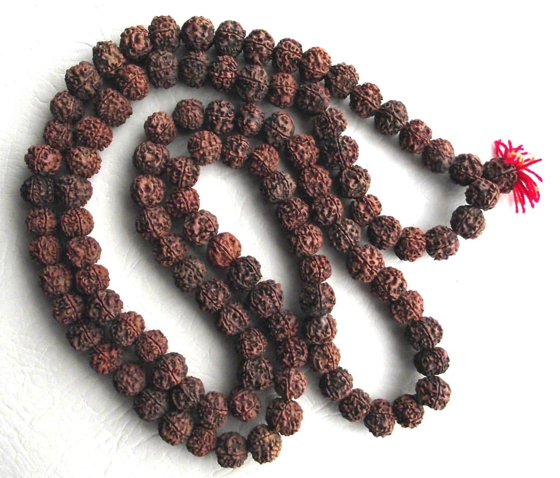 Large Rudraksha Japa Mala 18-20 mm Prayer Beads