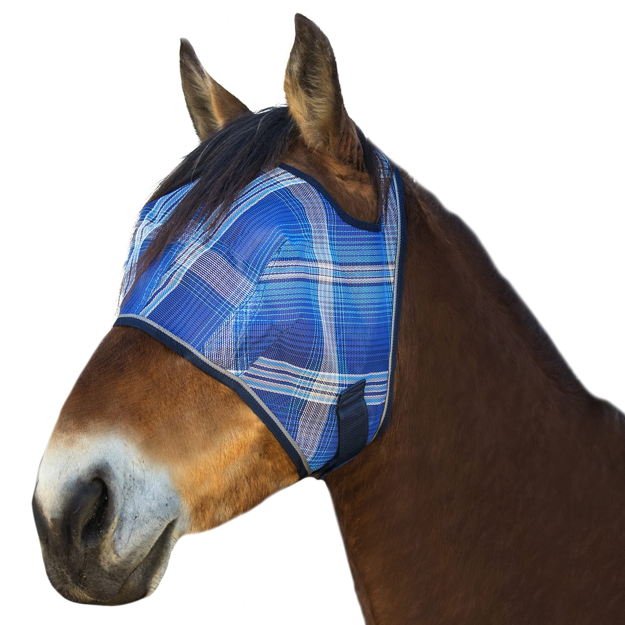 Kensington Fly Mask Web Trim — Protects Horses Face and Eyes from Bites and Sun Rays While Allowing Full Visibility — Ears and Forelock Able to Come Through The Mask, Large, Kentucky Blue