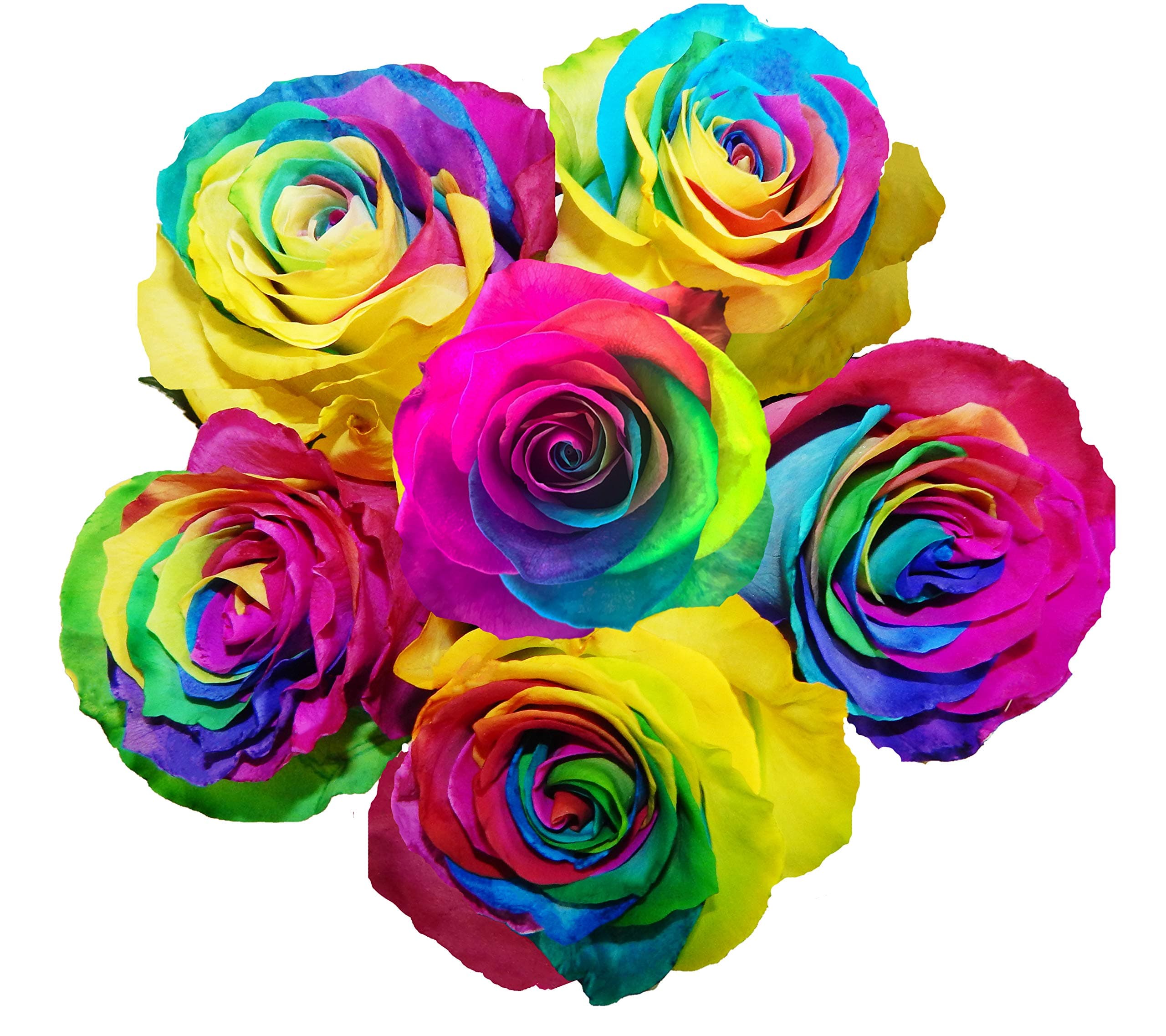 Farm Direct Fresh Cut Tinted Rainbow Roses, 50 Fresh Stems.