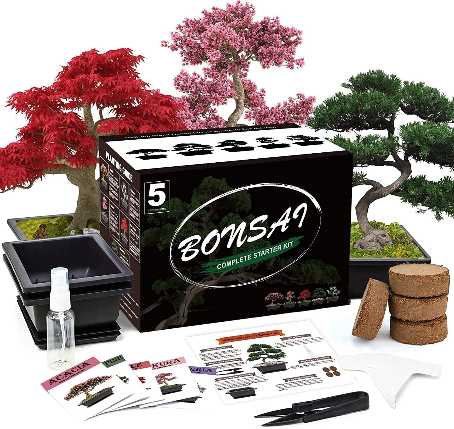 5 Bonsai Tree Kit Complete Plant Growing Tools, Grow in Pot Indoor Bonsai Tree Starter Kit, Great Home Gardening Potted Plants DIY Gift for Adults