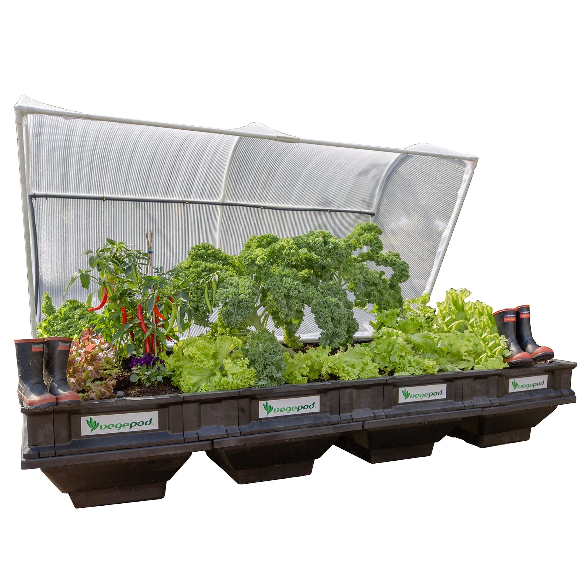 Vegepod - Raised Beds for Vegetable Garden - Self Watering Planter with Protective Cover, Easily Elevated to Waist Height, 5 Years Warranty - Large (Vegepod)