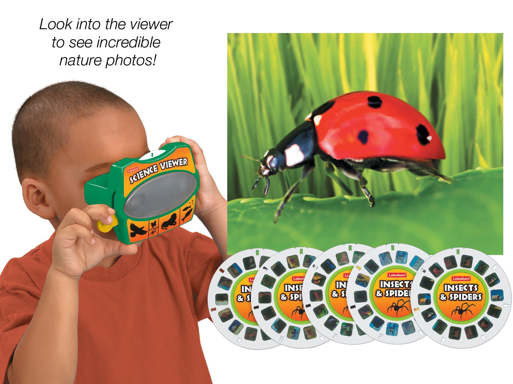Lakeshore Insects & Spiders Science Viewer