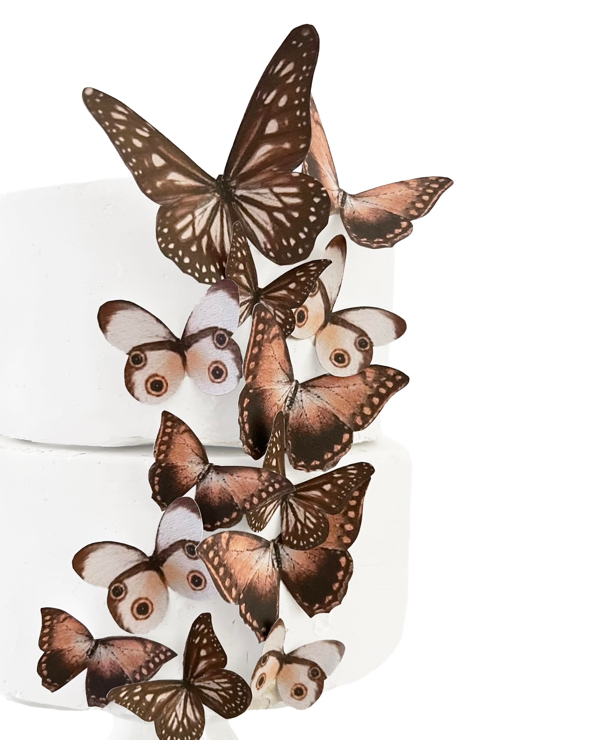 Sugar Robot Edible Butterflies for Cake Decorating- Butterfly Cake Decorations- Assorted Size - Cake Toppers and Cupcake Toppers Made in the USA - Premium Crafted -15 pcs (Brown)