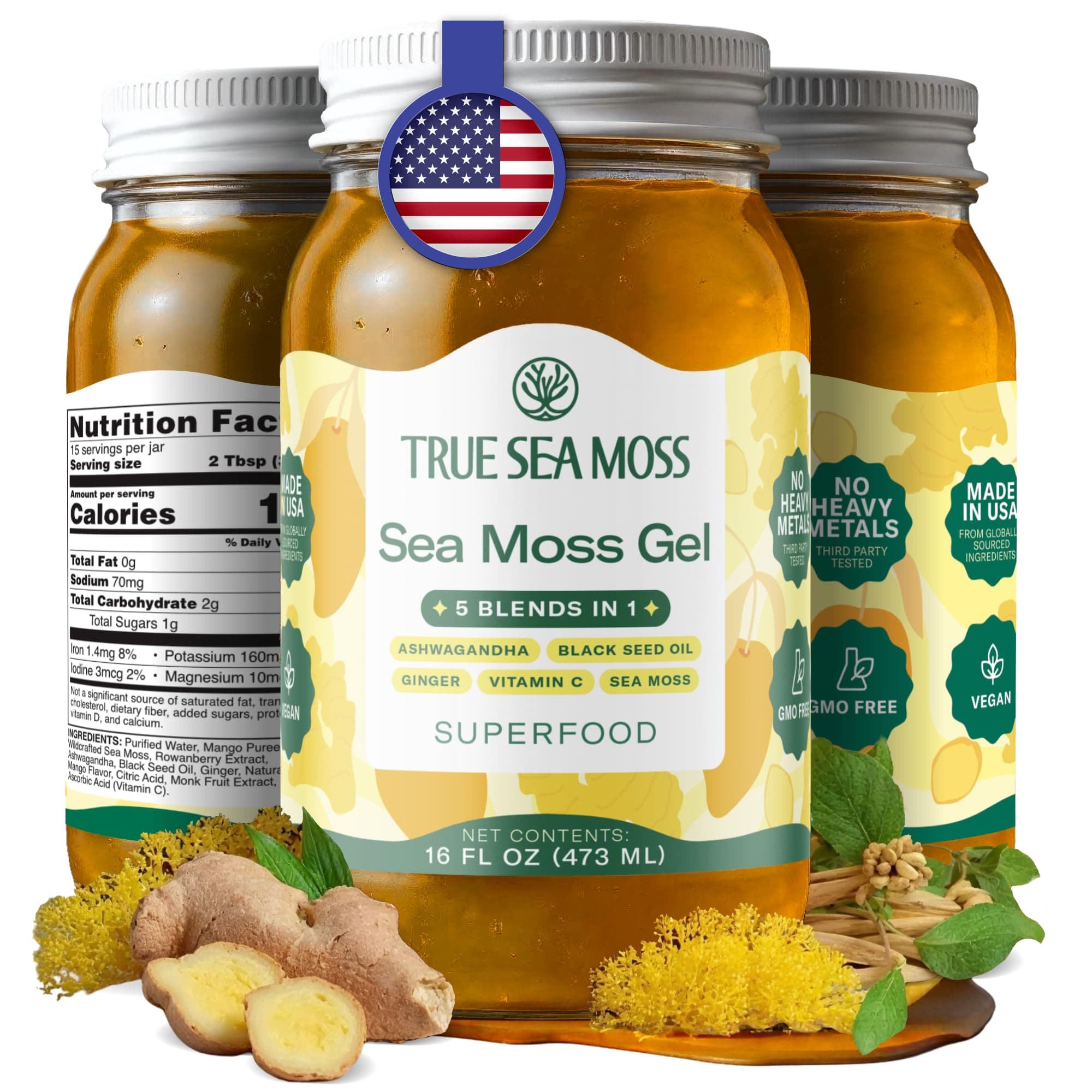 TrueSeaMoss Sea Moss Gel – Made in USA – 5-in-1 Formula – Wildcrafted Seamoss, Ashwagandha & Jarred Vegetables – Ashwagandha, Pack of 1 (Labels may Vary)