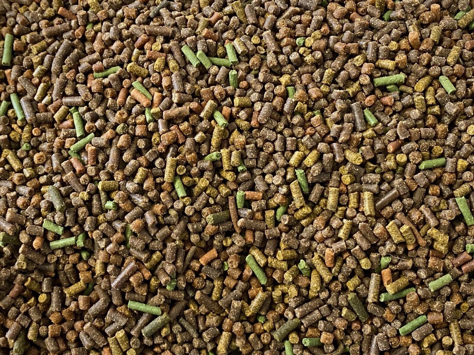 Aquatic Freshwater Snail Food Mix #2 with Calcium Snail,Shrimp & Crayfish Food - A2 (1oz Sample)