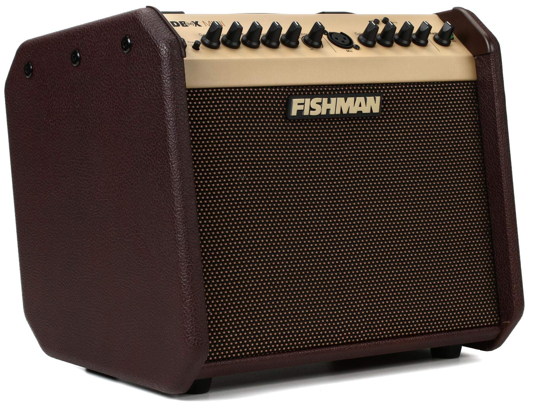 - Loudbox Mini BT 60-Watt 1x6.5 Inches Acoustic Combo