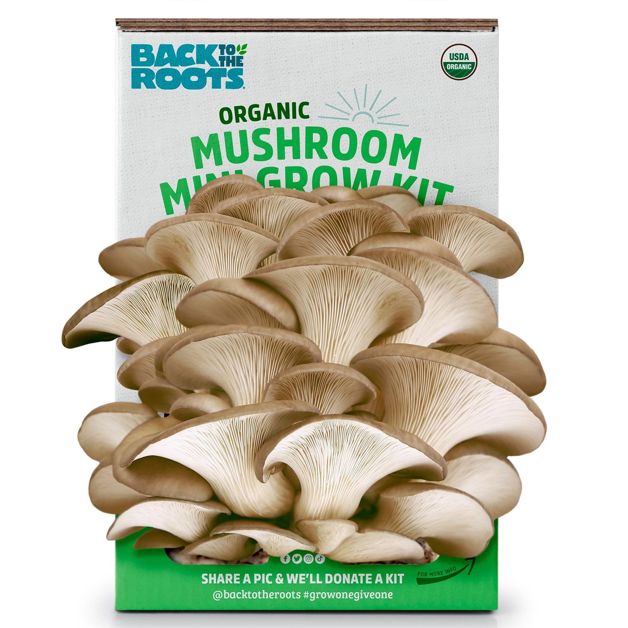 Back To The Roots - Organic Mushroom Mini Farm