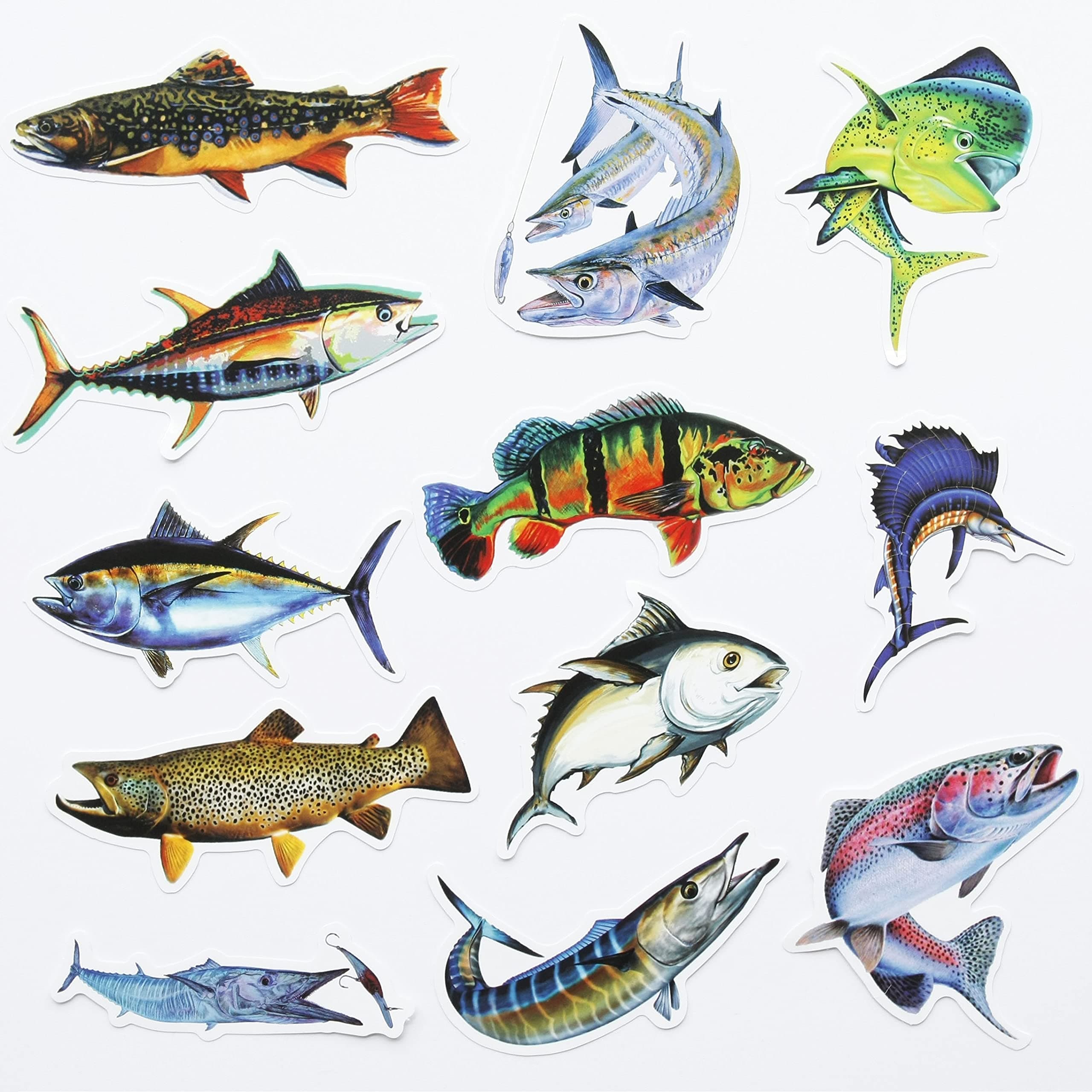 MiroSan 50Pcs Funny Fishing Rod Decals Grouper Bass Trout Sailfish Stickers Fishing Decals for Trucks Window Boat