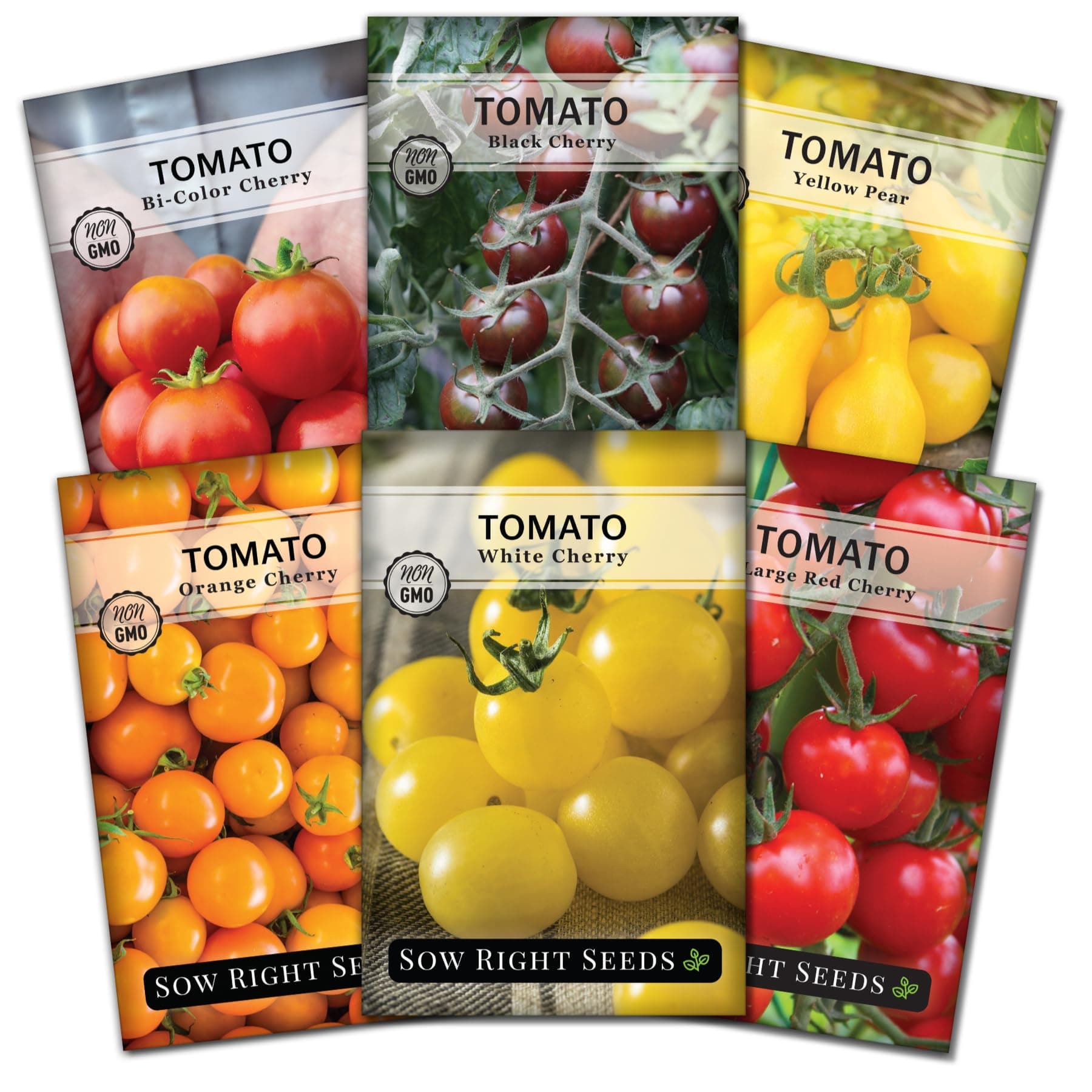 Sow Right Seeds - Cherry Tomato Seed Collection for Planting - Black, Large Red, White, Orange, Bi-Color Cherry and Yellow Pear Tomatoes - Non-GMO Heirloom Varieties to Plant a Home Vegetable Garden