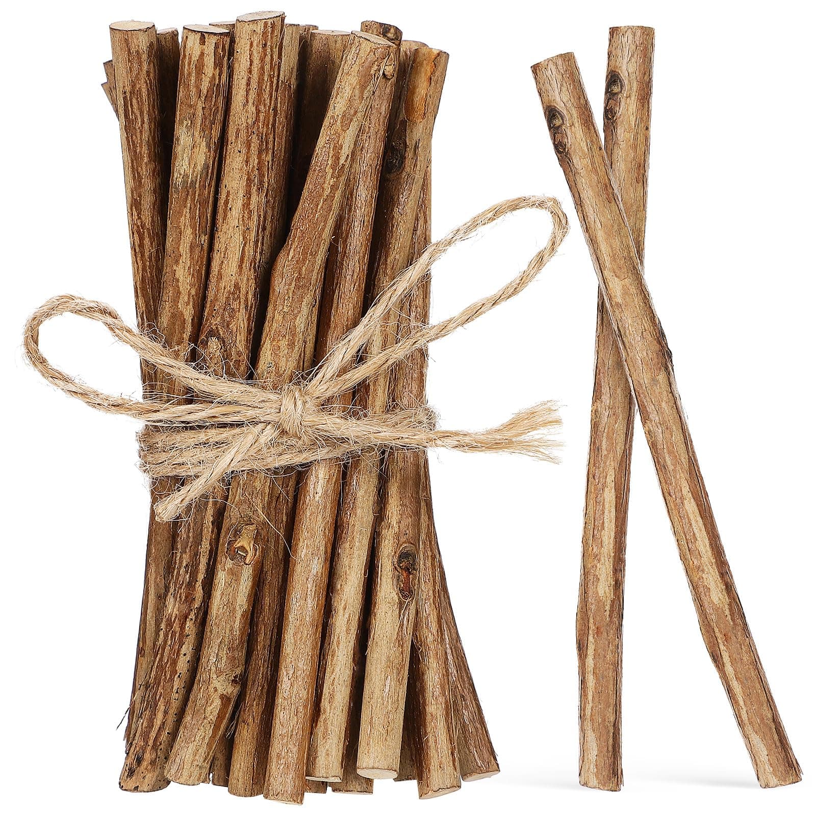 VILLCASE 50pcs Wood Sticks Twigs for Crafts, Mini Log Tree Bark, Smooth Log Craft Sticks, Birch Twigs, Ideal for DIY, Photo Props, Home Decor, Medium