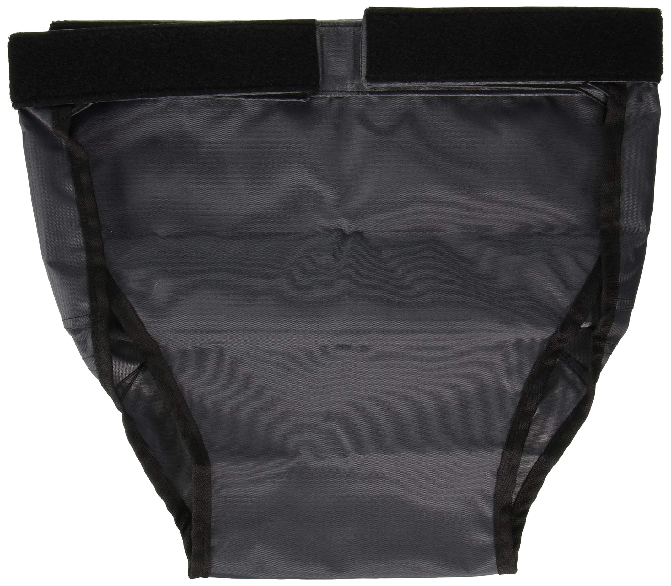 Mobility Transfer System (a) Safetysure Mary's Aide Transfer Sling